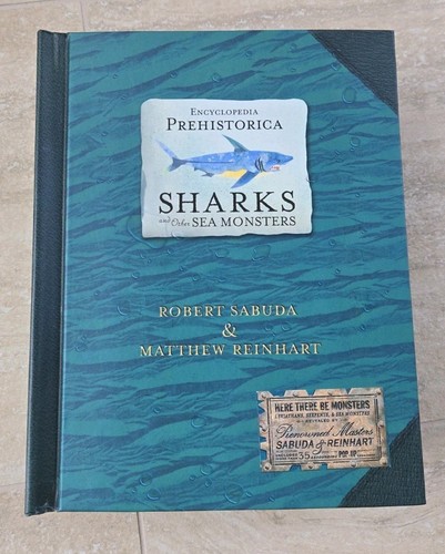 Sharks and other - sharks,