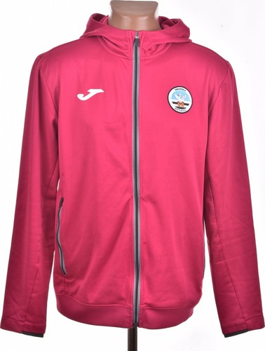 Swansea city 2022 - swansea,