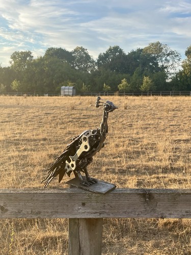 Handmade scrap metal peacock - scrap,