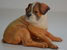 PUPS GALORE BOXER PG05