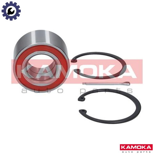 Wheel bearing kit 5600022 - bearing,