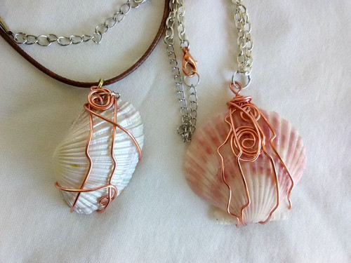 Lot clam seashells beach - 2,