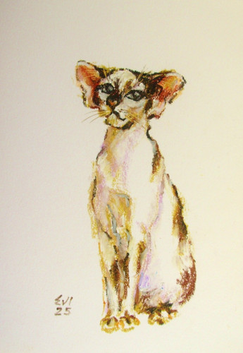 Oriental cat original oil - oriental,