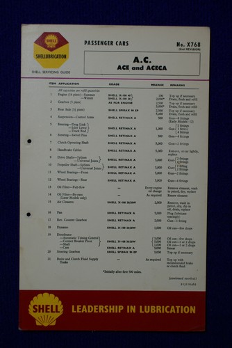 Ace aceca shell - &,