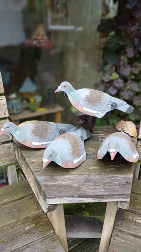 Pidgeon decoy set deterrent - pidgeon,