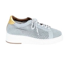 Homers Artisan ISTA Perforated