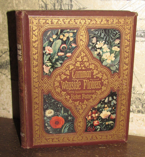 1860 common wayside flowers - 1860,