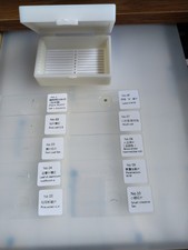 Set of 10 High Quality Prepared Microscope Slides, Brand New Cased