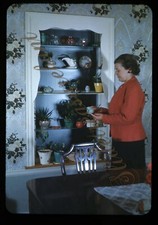 Woman Display Cabinet Plants 35mm Slide 1950s Red Border Kodachrome