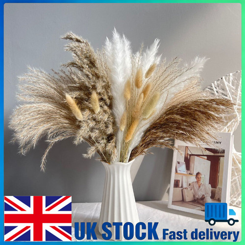 15pcs dried flowers bunch - flowers,