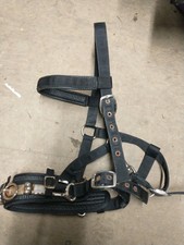 Large/Full Size Lunge Cavesson