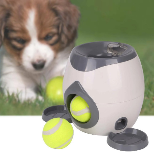 Ball game automatic fetch - game,