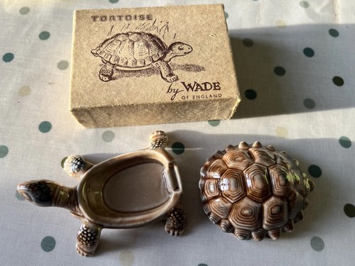 Tortoise wade england - tortoise, of