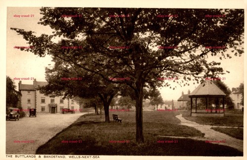 The buttlands bandstand - the,