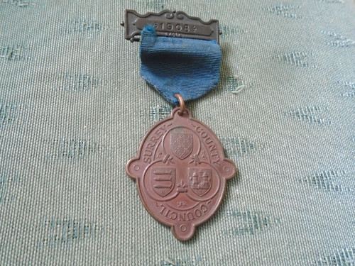 1908 surrey education - 1908,