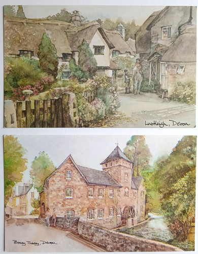 David skipp devon postcards - devon,