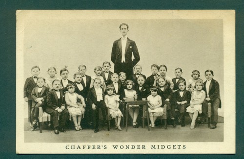 Freaks chaffer wonder - chaffer's,