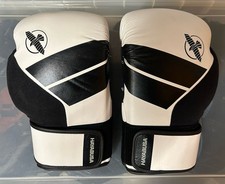 Hayabusa S4 Boxing Gloves 14oz