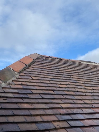 Rosemary brindle eaves roof - rosemary,