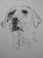 Original mini pen & ink drawing sketch of a dog portrait Labrador on ivory paper
