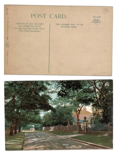 Vintage postcard westoe - postcard,