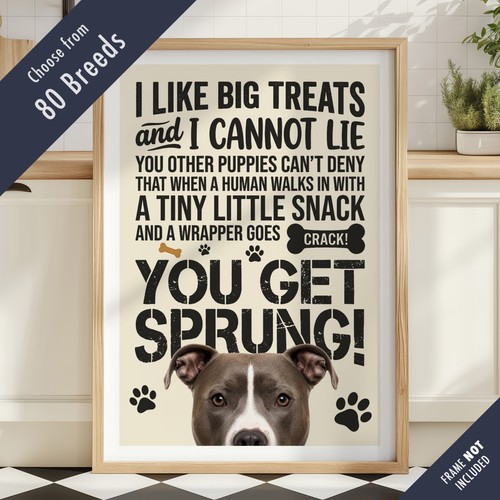 Funny dog treats - lyric, quote