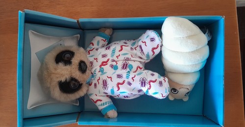 Baby oleg meerkat grub - +,