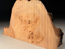 Live Edge Burr Elm Resin