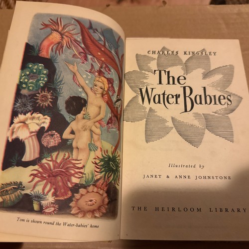 The water babies - the,