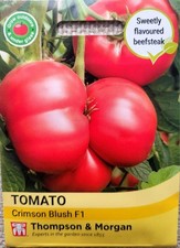 Sweet beefsteak TOMATO