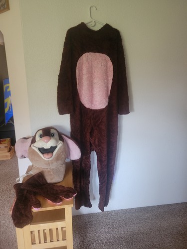 Vintage mascot costume - vintage, full