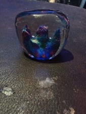 Fish Aquarius Marino Glass