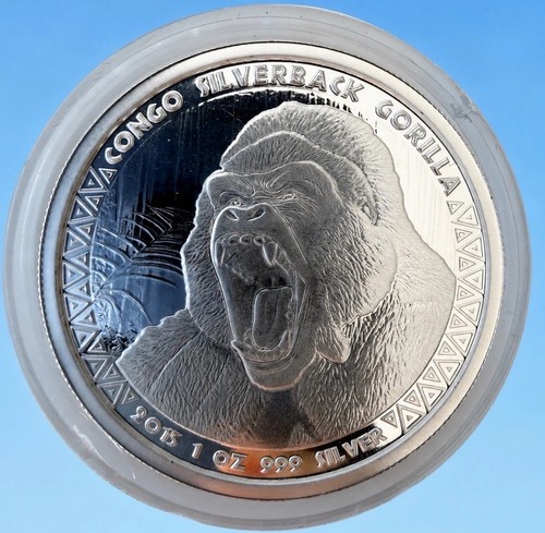 Congo silverback gorilla - silverback,