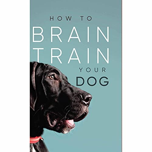 How brain train your - to, dog