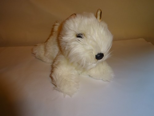 Brand new white - new,