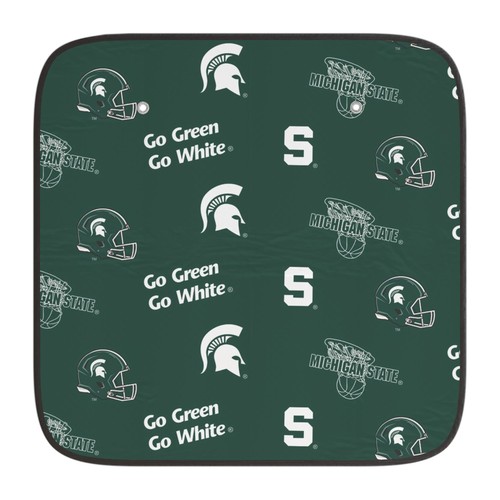 Michigan state spartans car - state,