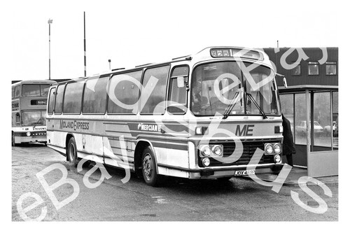 Bus photograph midland - photograph, red