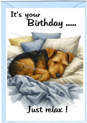 Welsh terrier dog - welsh, birthday