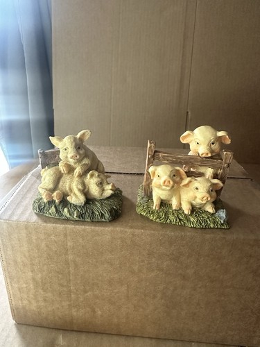 Vintage pig piglets playing - pig,