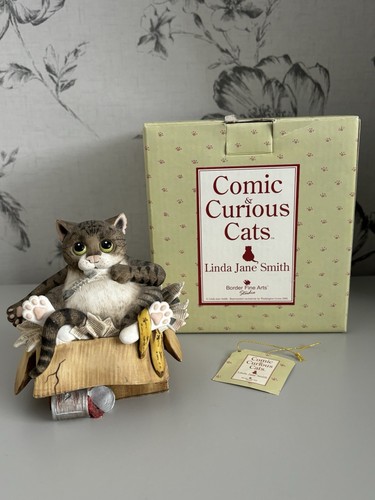 Comic curious cats - curious,