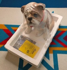 NEW Sandicast English Bulldog