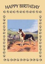 COLLIE SMOOTH COLLIE DOG