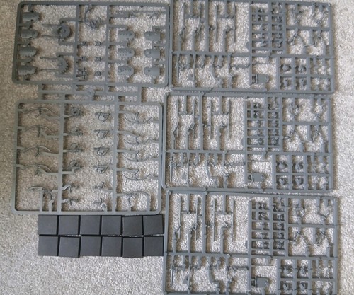 12x tomb kings skeleton - 12x,