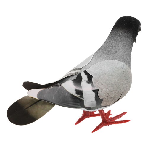 Simulation pigeon bird - pigeon,