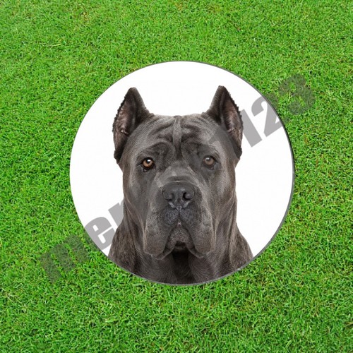Blue gray cane - gray, corso