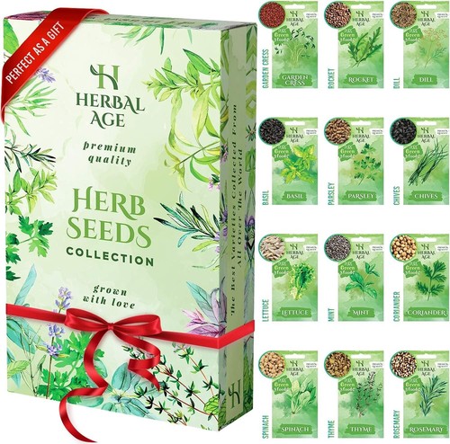 Seed kit herb - kit,