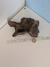4920# DECORATIVE  DRIFTWOOD