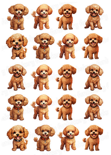 Poodle dog cake - poodle,