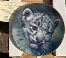 Princeton Gallery Cubs of the