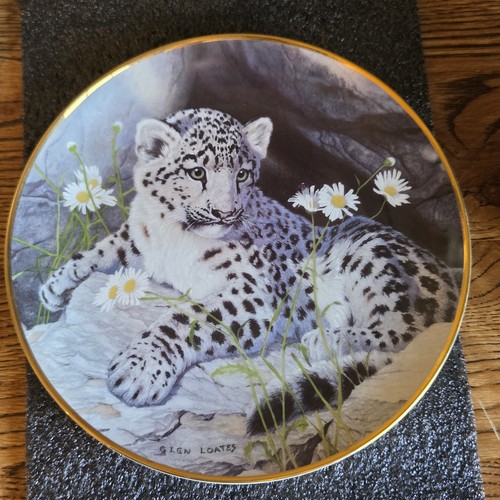 Want play plate artist - to, play?